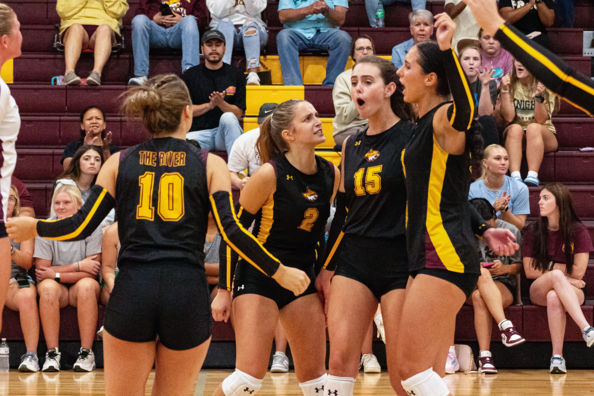 Wildcat players celebrate after a point (Karisa Watkins/PRCCAthletics).