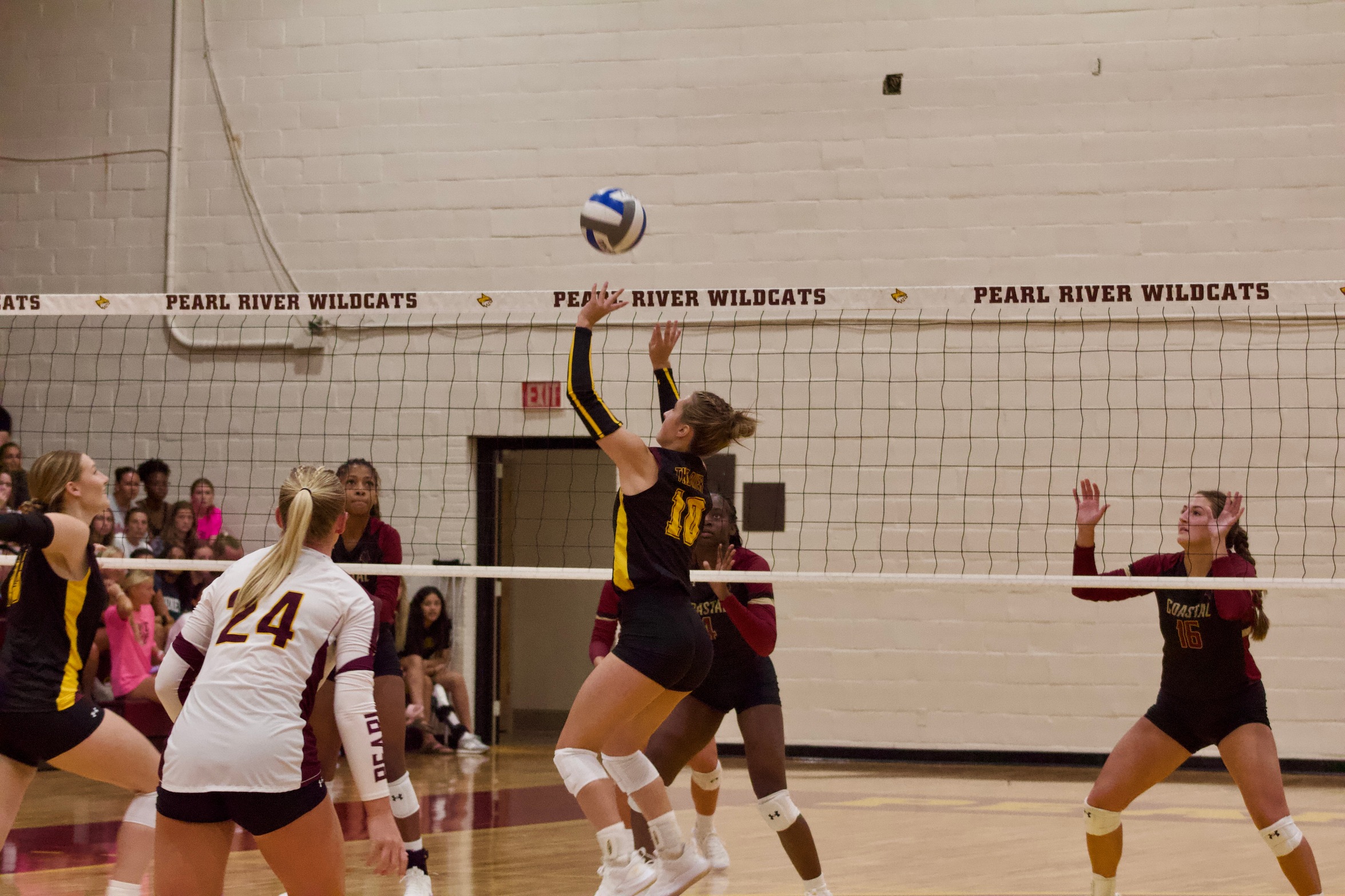 Skyla Rann (Gonzales, La.; East Ascension) sets a ball for a kill attempt. (Karisa Watkins/PRCC Athletics)