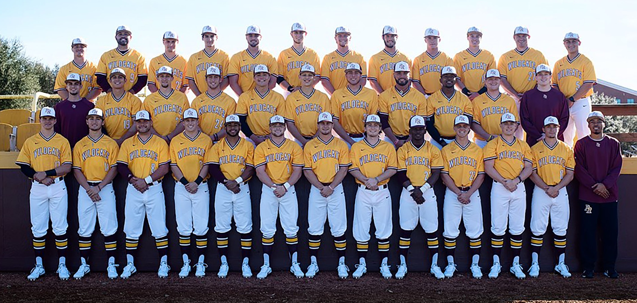 Wildcat Baseball Team